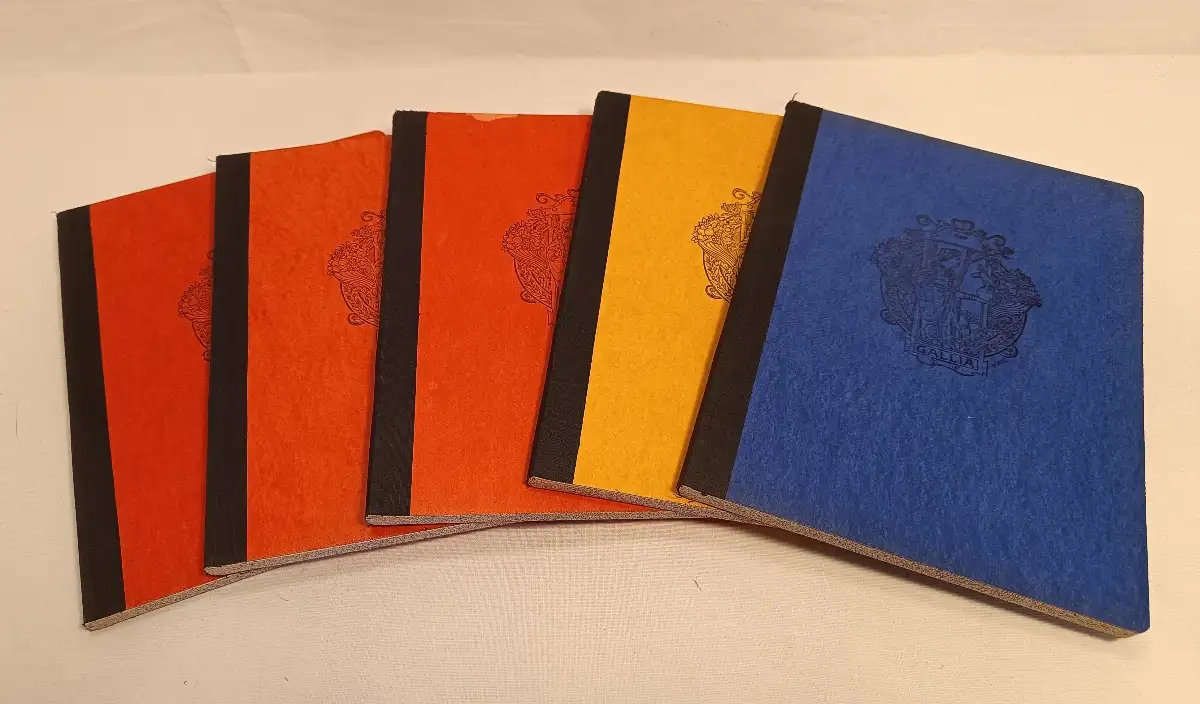 Lot de 5 cahiers anciens