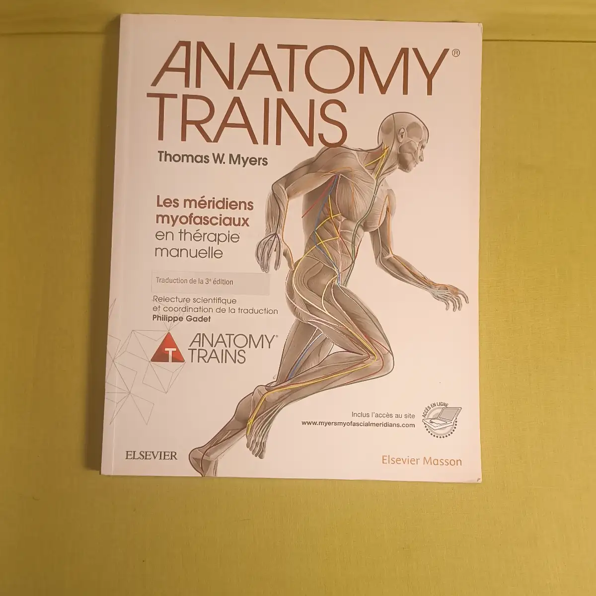 Anatomy Trains les méridiens myofasciaux