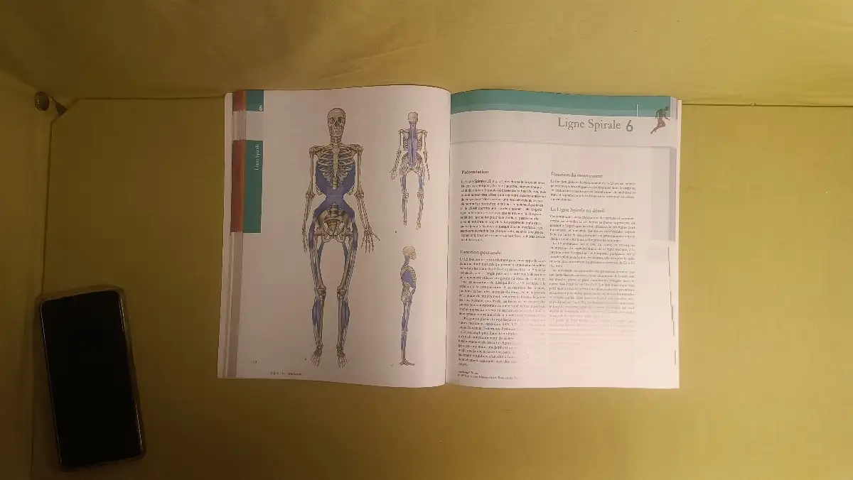 Anatomy Trains les méridiens myofasciaux