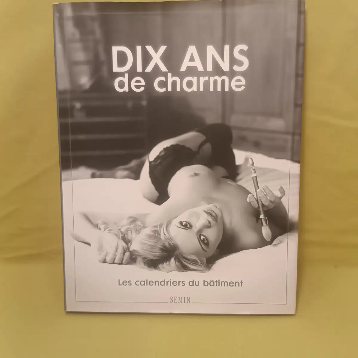 Dix ans de charmes les calendriers du bâtiment.