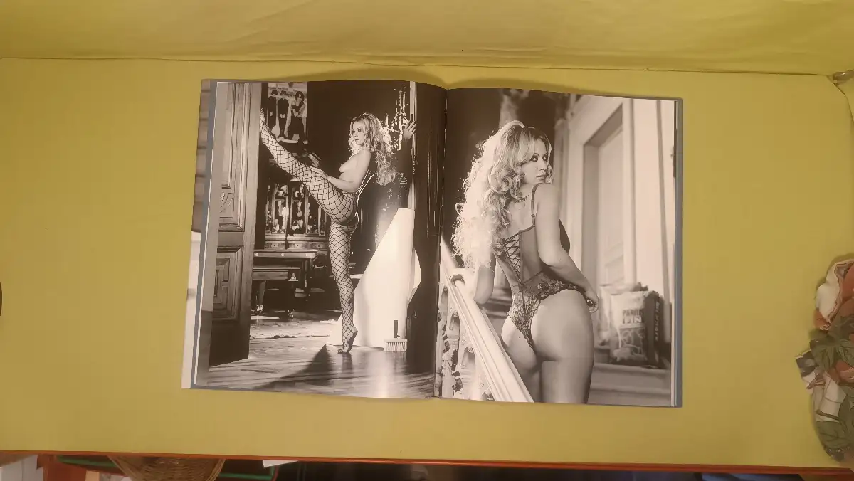 Dix ans de charmes les calendriers du bâtiment.